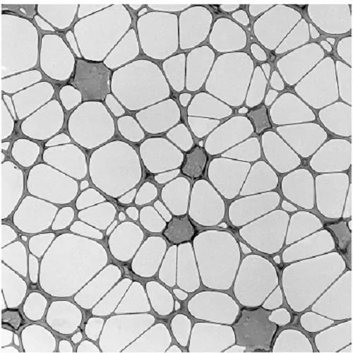 Lacey Carbon Films on 300 Mesh Copper Grids